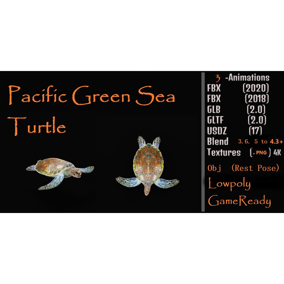 Green Sea Turtle 3D Model – Low Poly Game Ready Asset, FBX, Blender - View 4