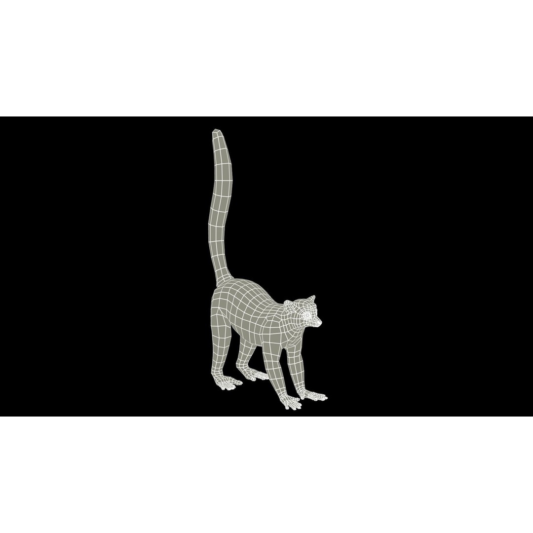 Ring-tailed Lemur 3D Model – Low Poly Animated Asset, FBX
