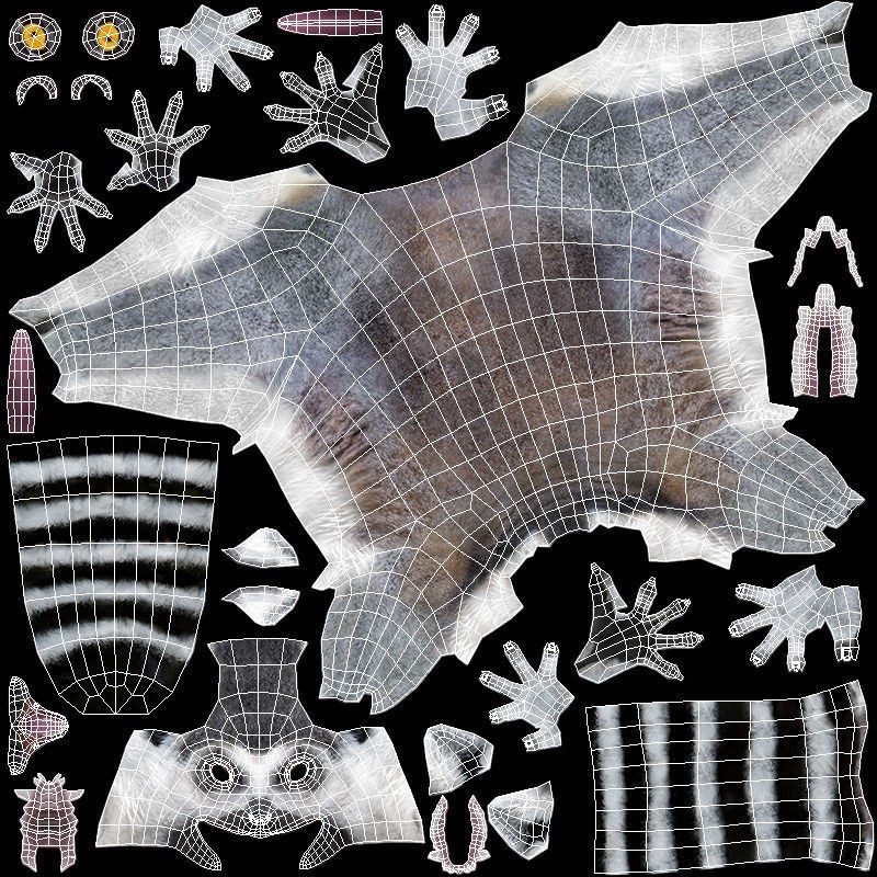 Ring-tailed Lemur 3D Model – Low Poly Animated Asset, FBX - View 15