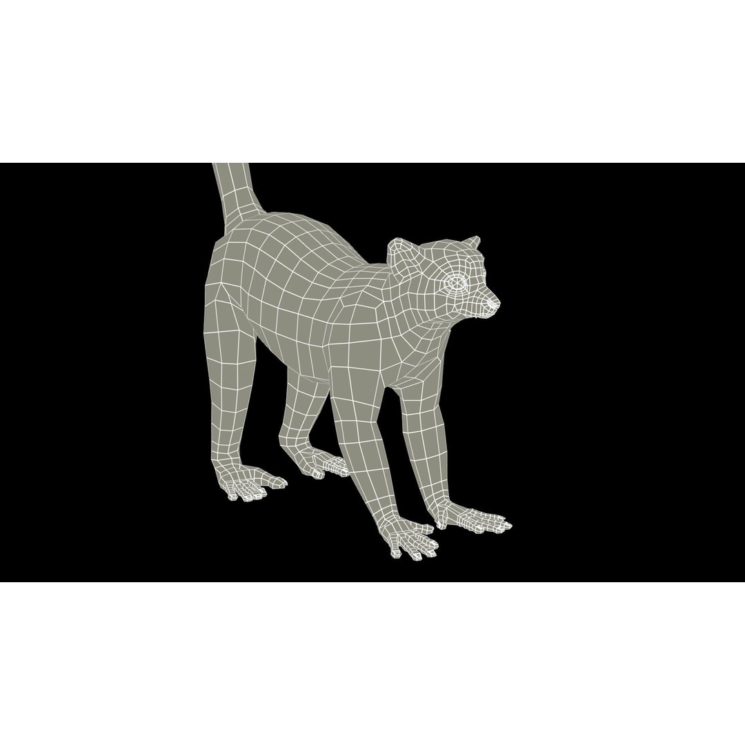 Ring-tailed Lemur 3D Model – Low Poly Animated Asset, FBX - View 16