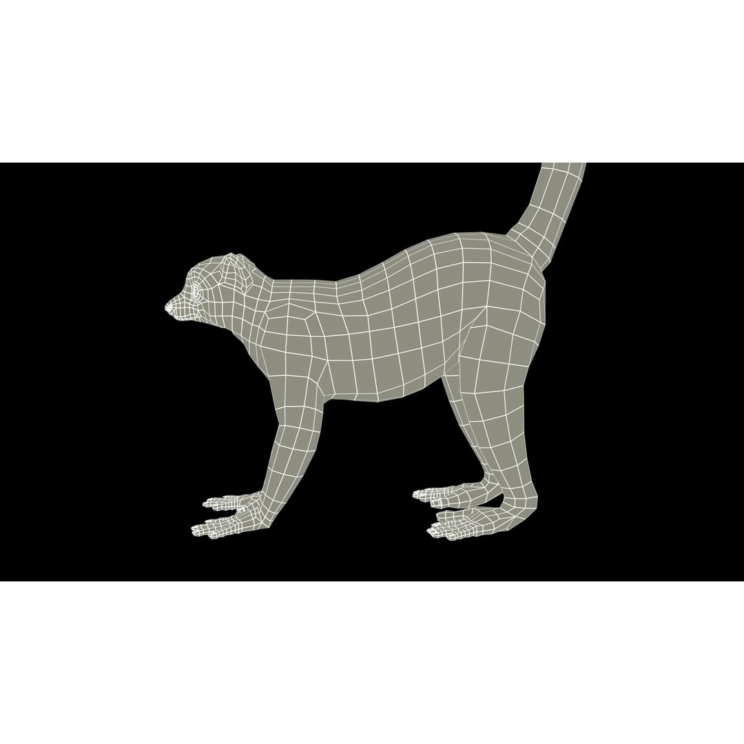 Ring-tailed Lemur 3D Model – Low Poly Animated Asset, FBX - View 17