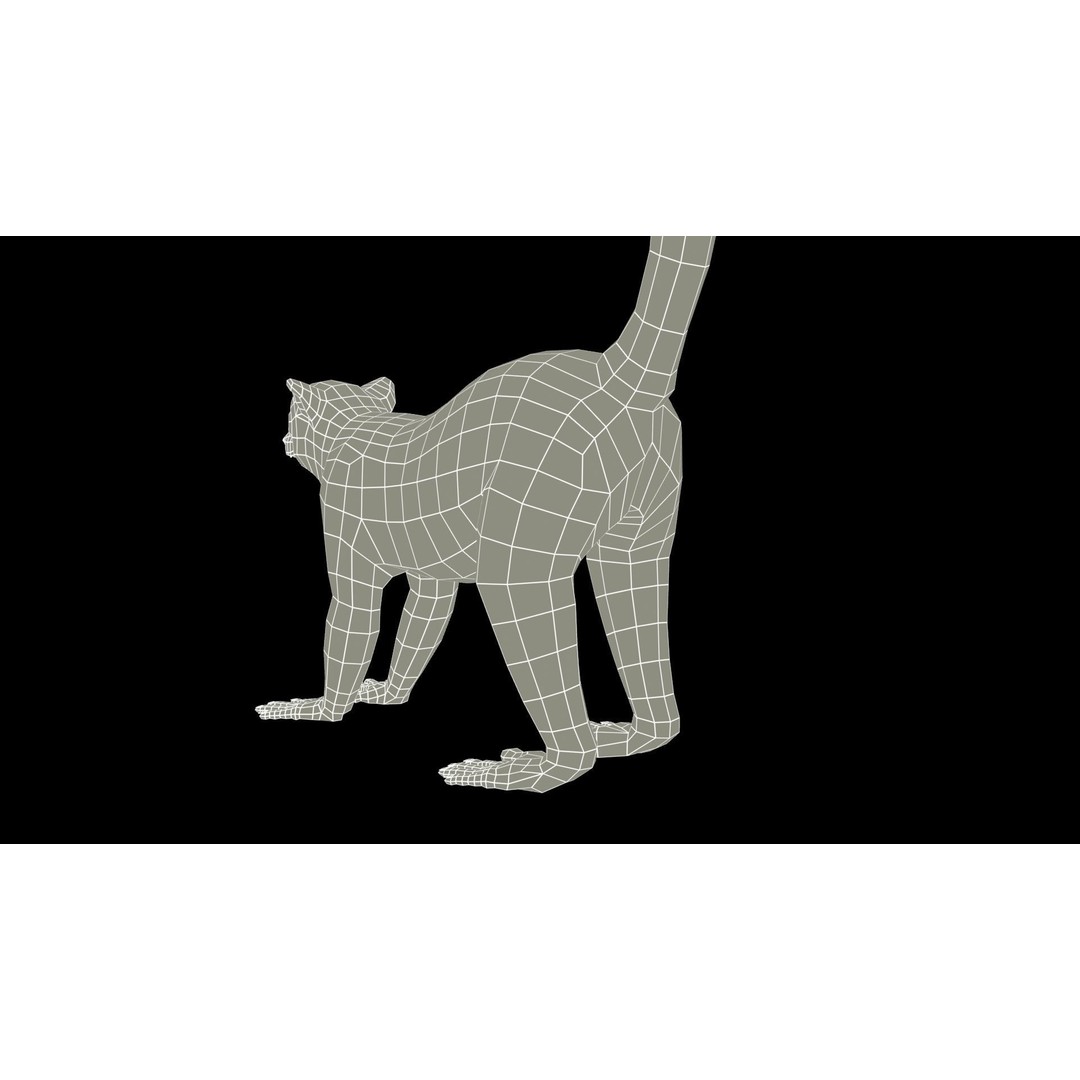 Ring-tailed Lemur 3D Model – Low Poly Animated Asset, FBX - View 18