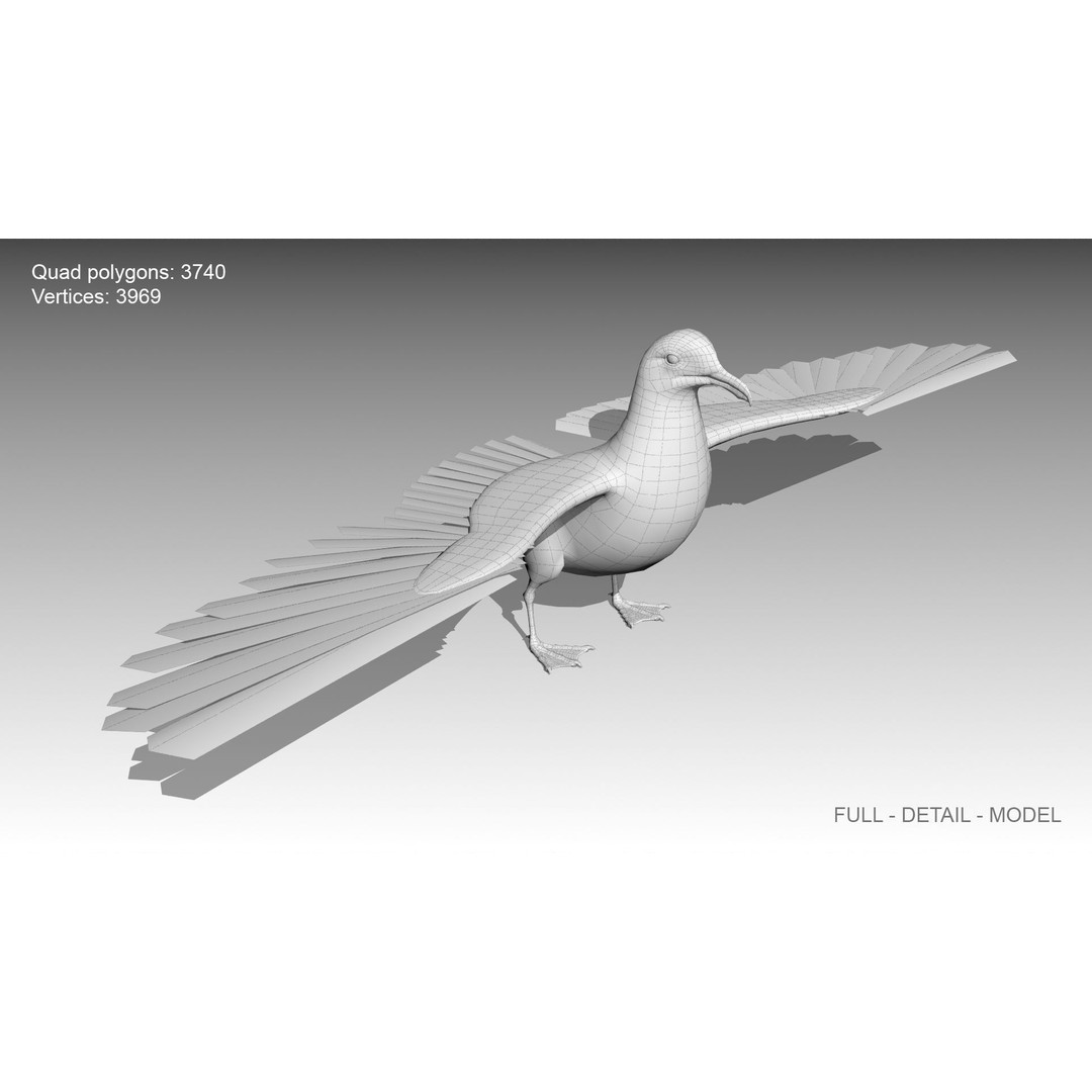 Seagull 3D Model – Low Poly Bird Asset with Animations, FBX