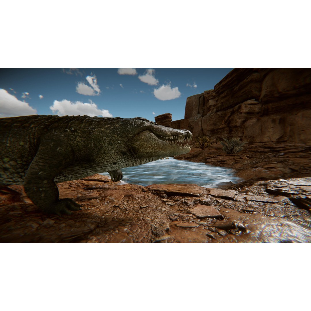 Realistic Crocodile 3D Model – Low Poly Rigged Asset, FBX, PBR