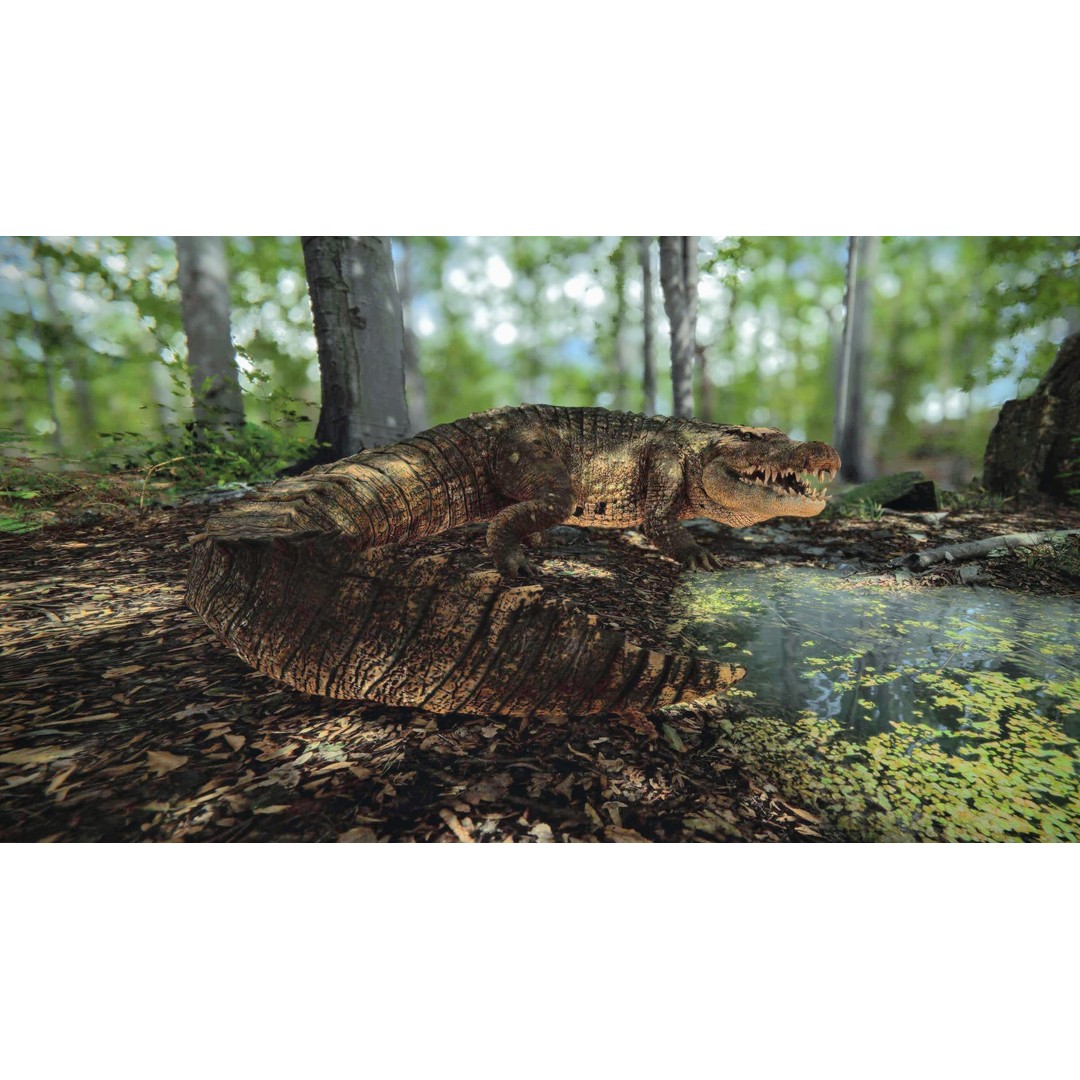 Realistic Crocodile 3D Model – Low Poly Rigged Asset, FBX, PBR - View 13