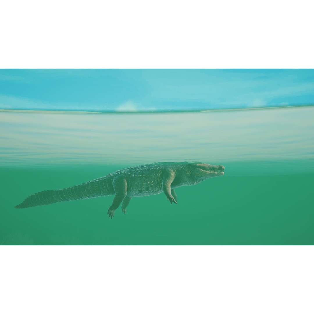 Realistic Crocodile 3D Model – Low Poly Rigged Asset, FBX, PBR - View 14