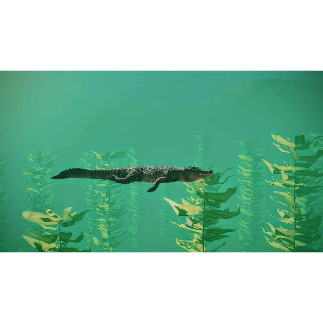 Realistic Crocodile 3D Model – Low Poly Rigged Asset, FBX, PBR - View 15