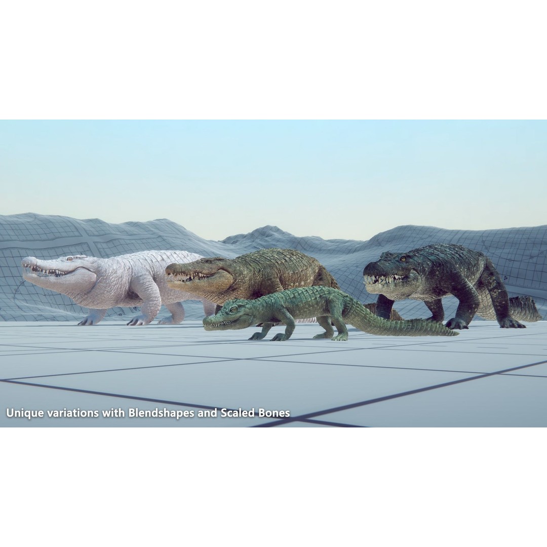 Realistic Crocodile 3D Model – Low Poly Rigged Asset, FBX, PBR - View 18