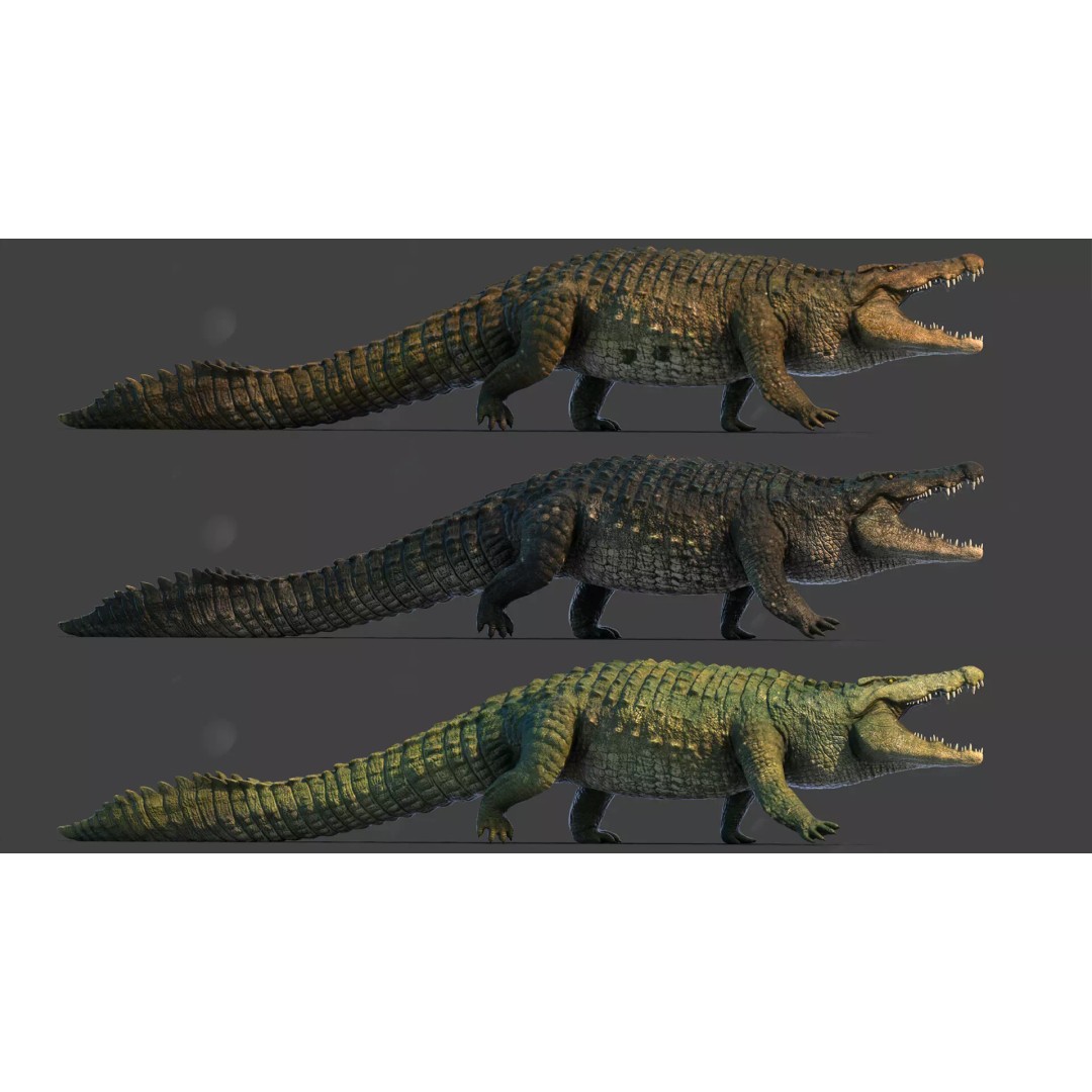 Realistic Crocodile 3D Model – Low Poly Rigged Asset, FBX, PBR - View 2