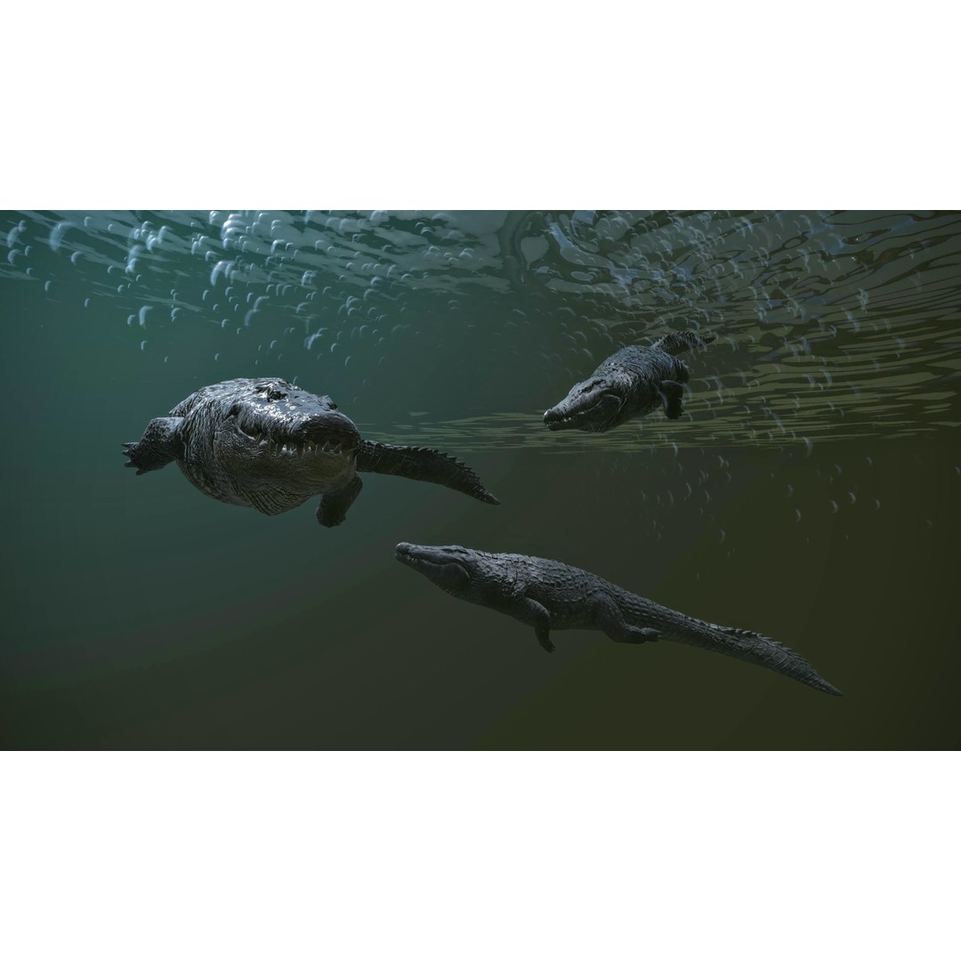 Realistic Crocodile 3D Model – Low Poly Rigged Asset, FBX, PBR - View 20