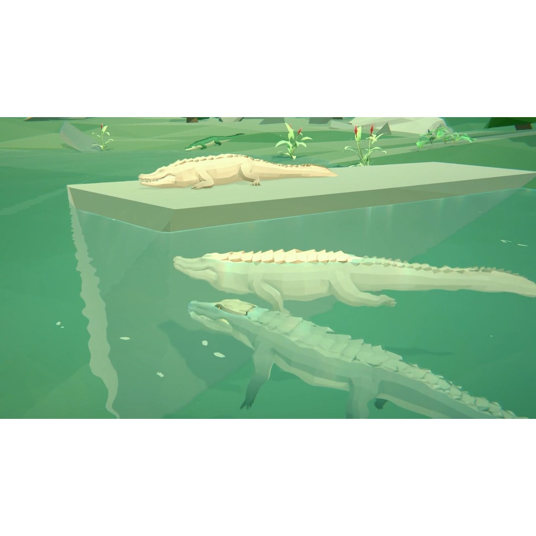 Realistic Crocodile 3D Model – Low Poly Rigged Asset, FBX, PBR - View 26