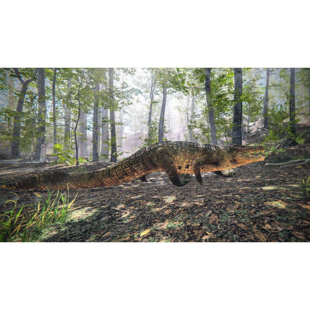 Realistic Crocodile 3D Model – Low Poly Rigged Asset, FBX, PBR - View 3