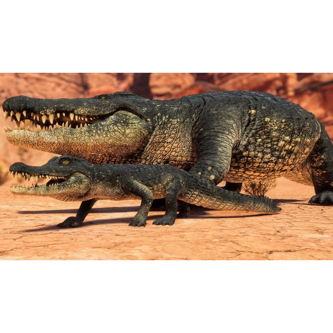 Realistic Crocodile 3D Model – Low Poly Rigged Asset, FBX, PBR - View 4