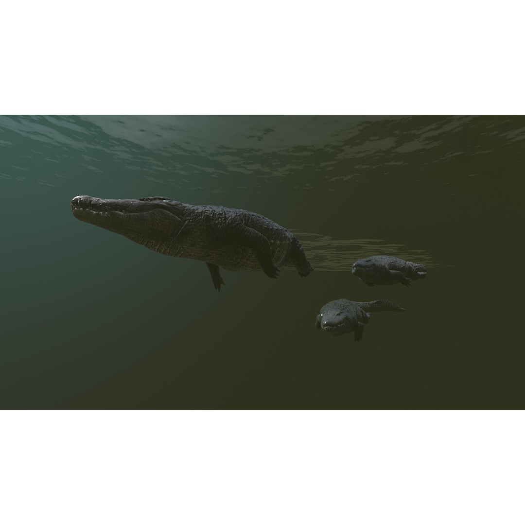 Realistic Crocodile 3D Model – Low Poly Rigged Asset, FBX, PBR - View 6