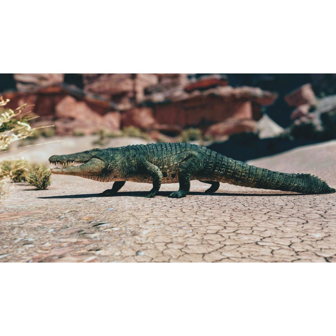 Realistic Crocodile 3D Model – Low Poly Rigged Asset, FBX, PBR - View 7