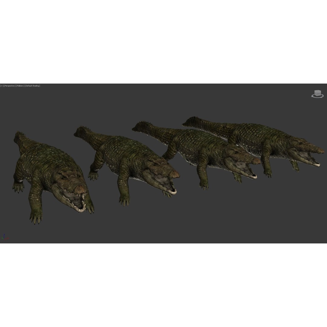 Realistic Crocodile 3D Model – Low Poly Rigged Asset, FBX, PBR - View 9