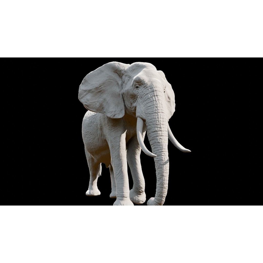 African Elephant 3D Model – Low Poly Rigged Asset, FBX, PBR