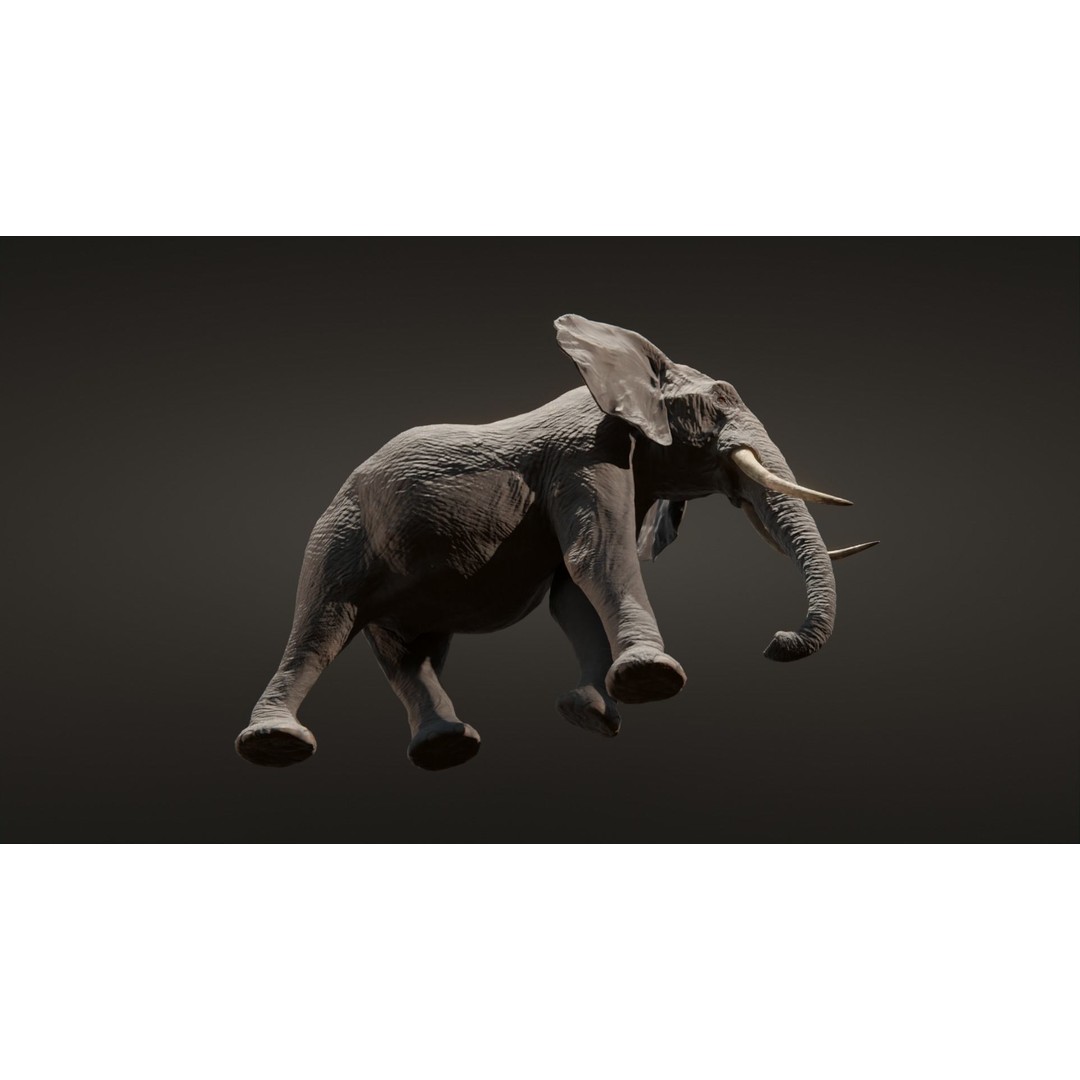 African Elephant 3D Model – Low Poly Rigged Asset, FBX, PBR - View 11