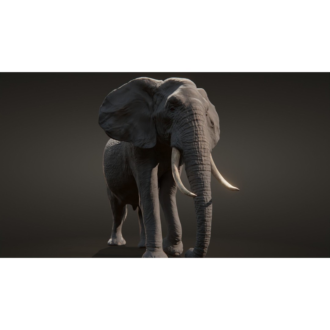 African Elephant 3D Model – Low Poly Rigged Asset, FBX, PBR - View 12
