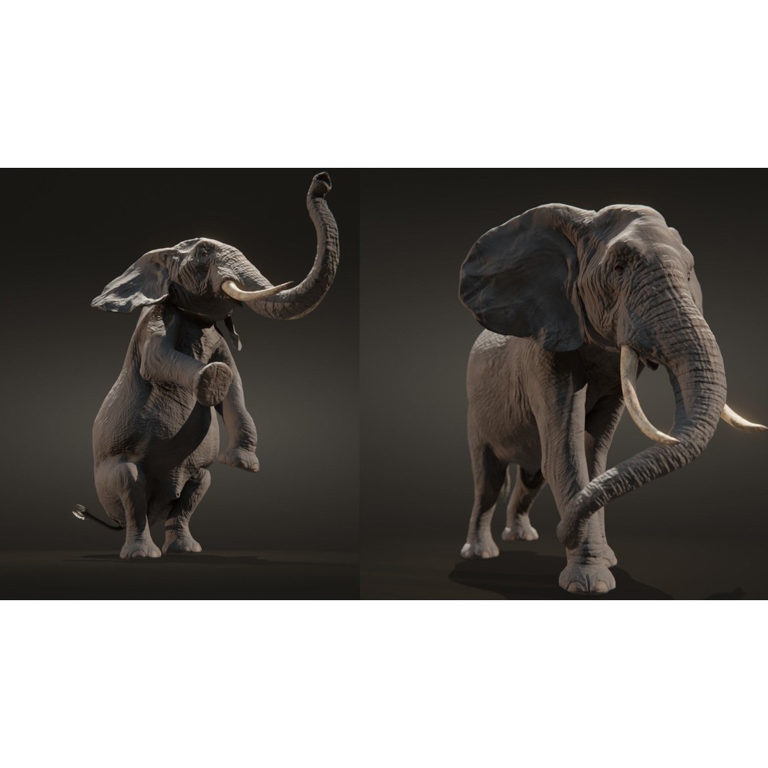 African Elephant 3D Model – Low Poly Rigged Asset, FBX, PBR - View 13