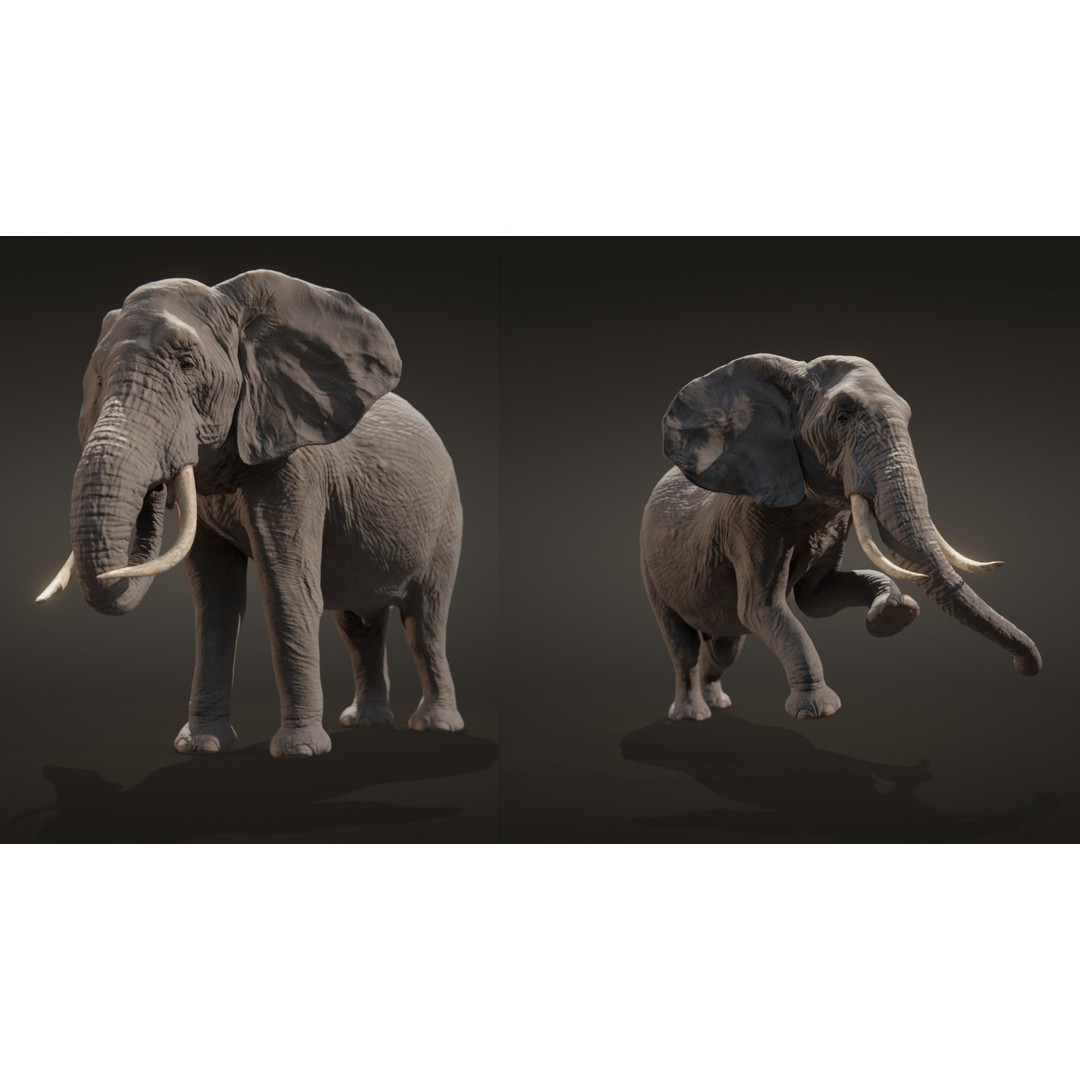 African Elephant 3D Model – Low Poly Rigged Asset, FBX, PBR - View 14