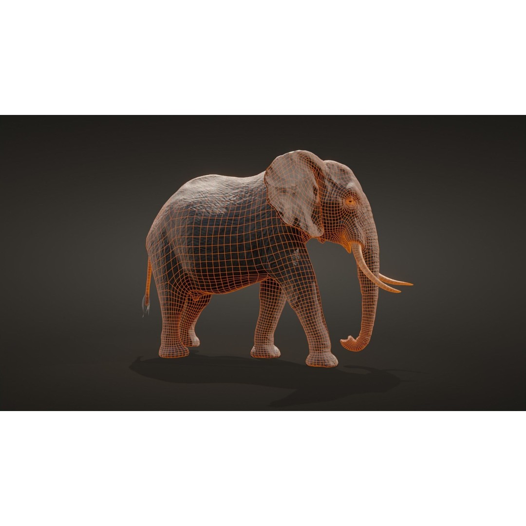 African Elephant 3D Model – Low Poly Rigged Asset, FBX, PBR - View 15