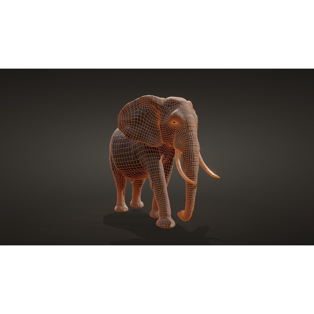 African Elephant 3D Model – Low Poly Rigged Asset, FBX, PBR - View 16