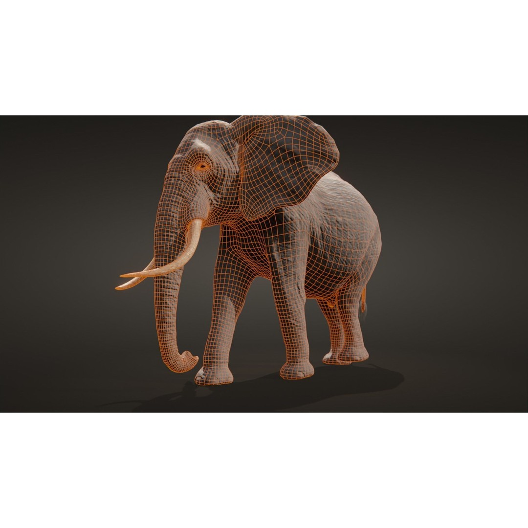 African Elephant 3D Model – Low Poly Rigged Asset, FBX, PBR - View 17