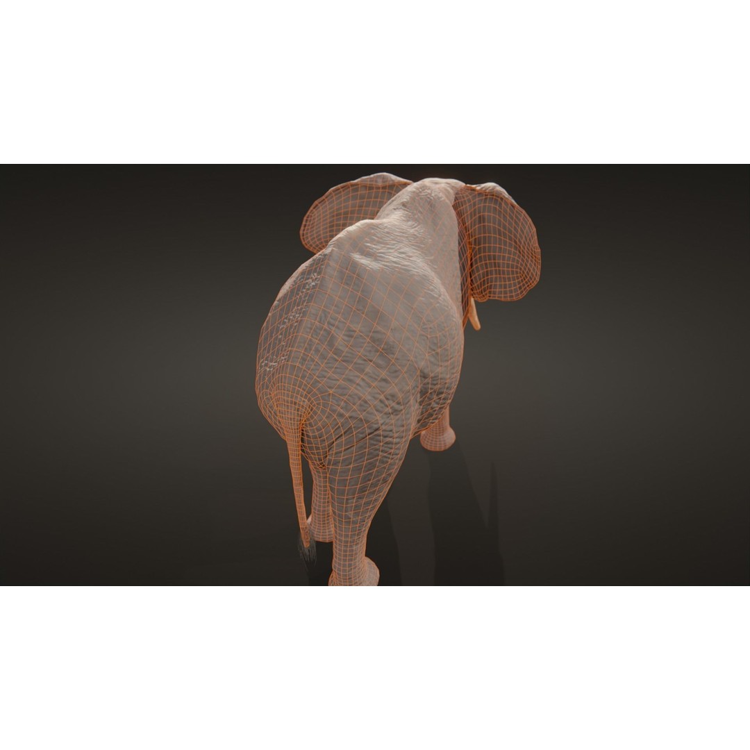 African Elephant 3D Model – Low Poly Rigged Asset, FBX, PBR - View 18