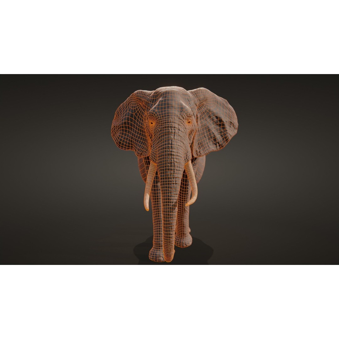 African Elephant 3D Model – Low Poly Rigged Asset, FBX, PBR - View 20