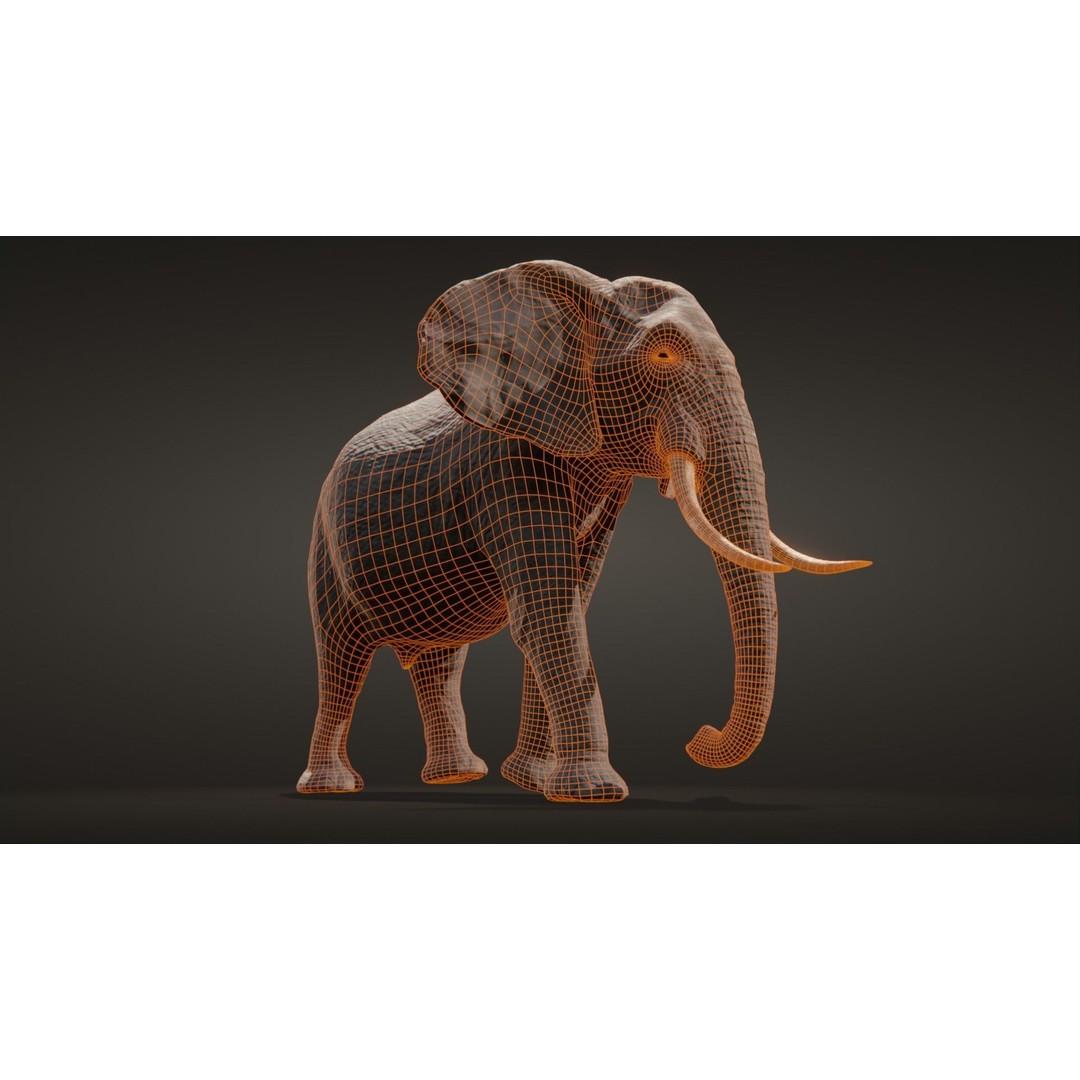 African Elephant 3D Model – Low Poly Rigged Asset, FBX, PBR - View 21