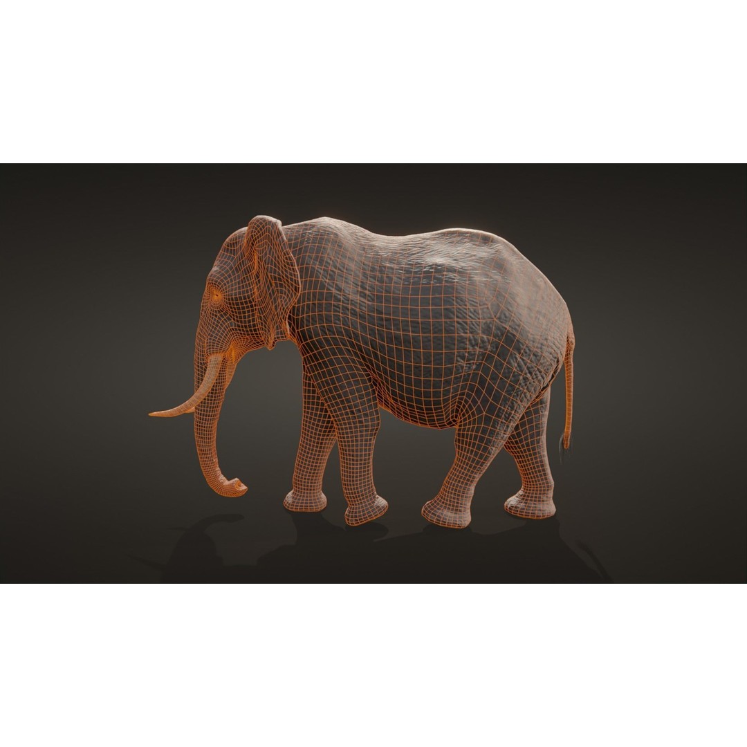African Elephant 3D Model – Low Poly Rigged Asset, FBX, PBR - View 22