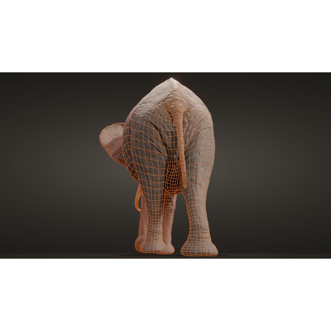 African Elephant 3D Model – Low Poly Rigged Asset, FBX, PBR - View 23
