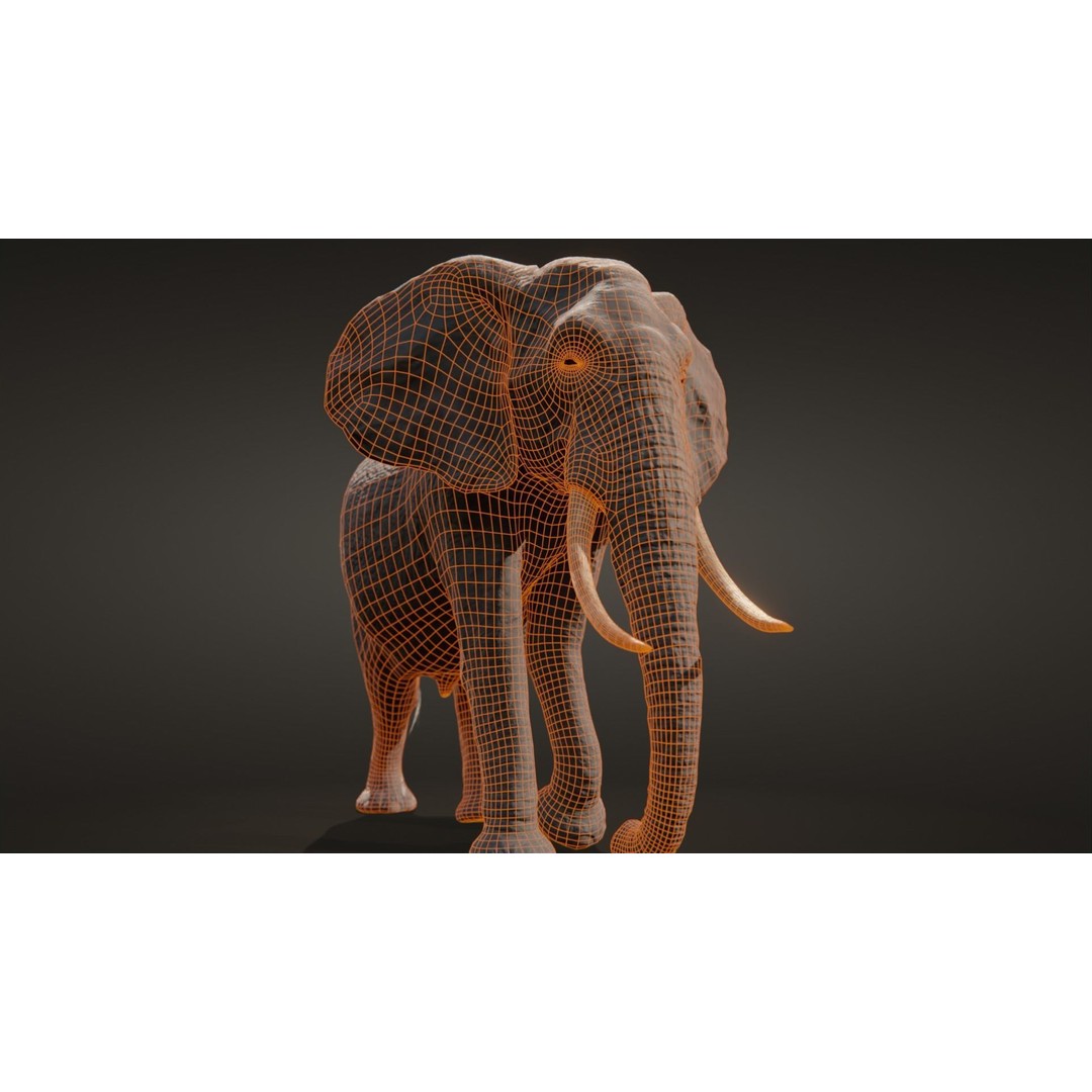 African Elephant 3D Model – Low Poly Rigged Asset, FBX, PBR - View 25