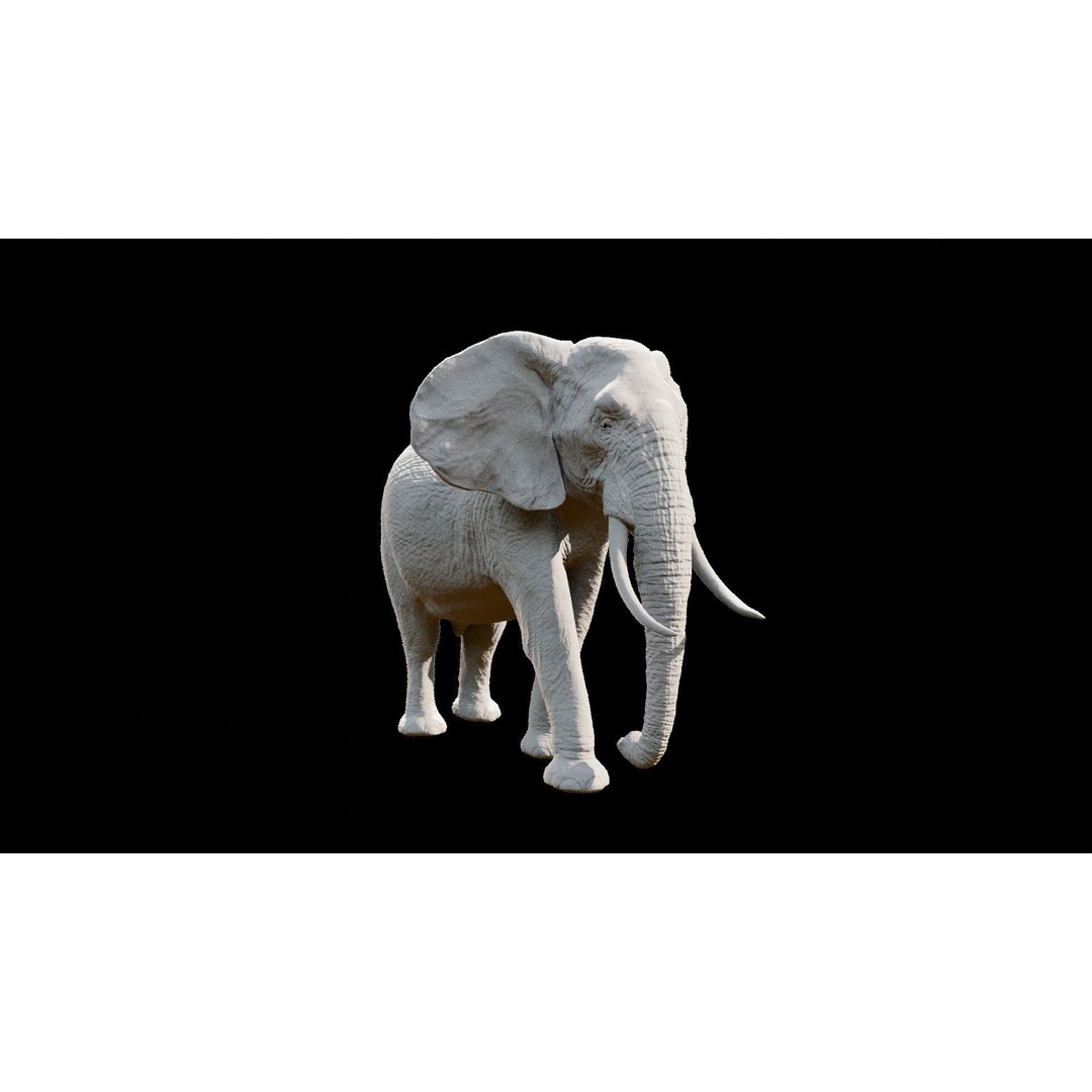 African Elephant 3D Model – Low Poly Rigged Asset, FBX, PBR - View 28