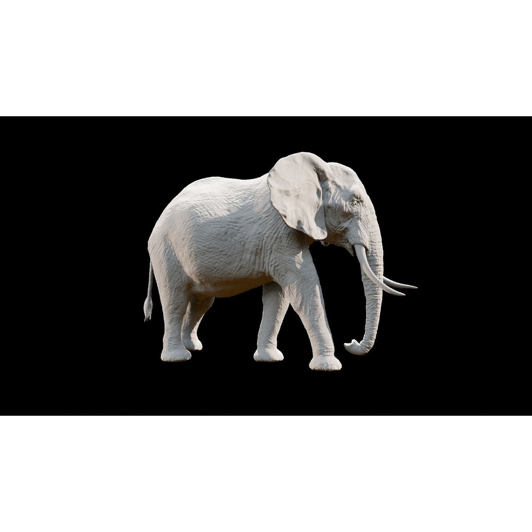 African Elephant 3D Model – Low Poly Rigged Asset, FBX, PBR - View 29