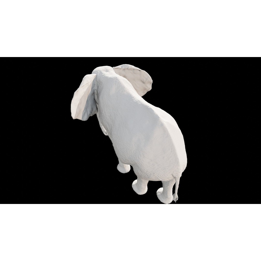 African Elephant 3D Model – Low Poly Rigged Asset, FBX, PBR - View 30