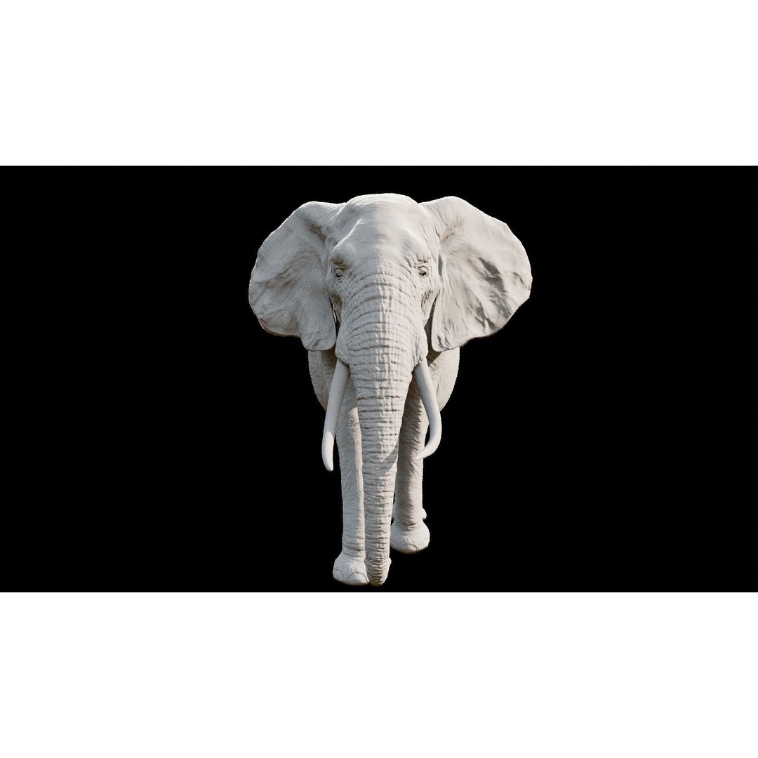 African Elephant 3D Model – Low Poly Rigged Asset, FBX, PBR - View 31