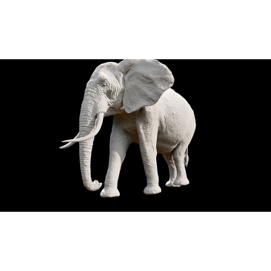 African Elephant 3D Model – Low Poly Rigged Asset, FBX, PBR - View 32