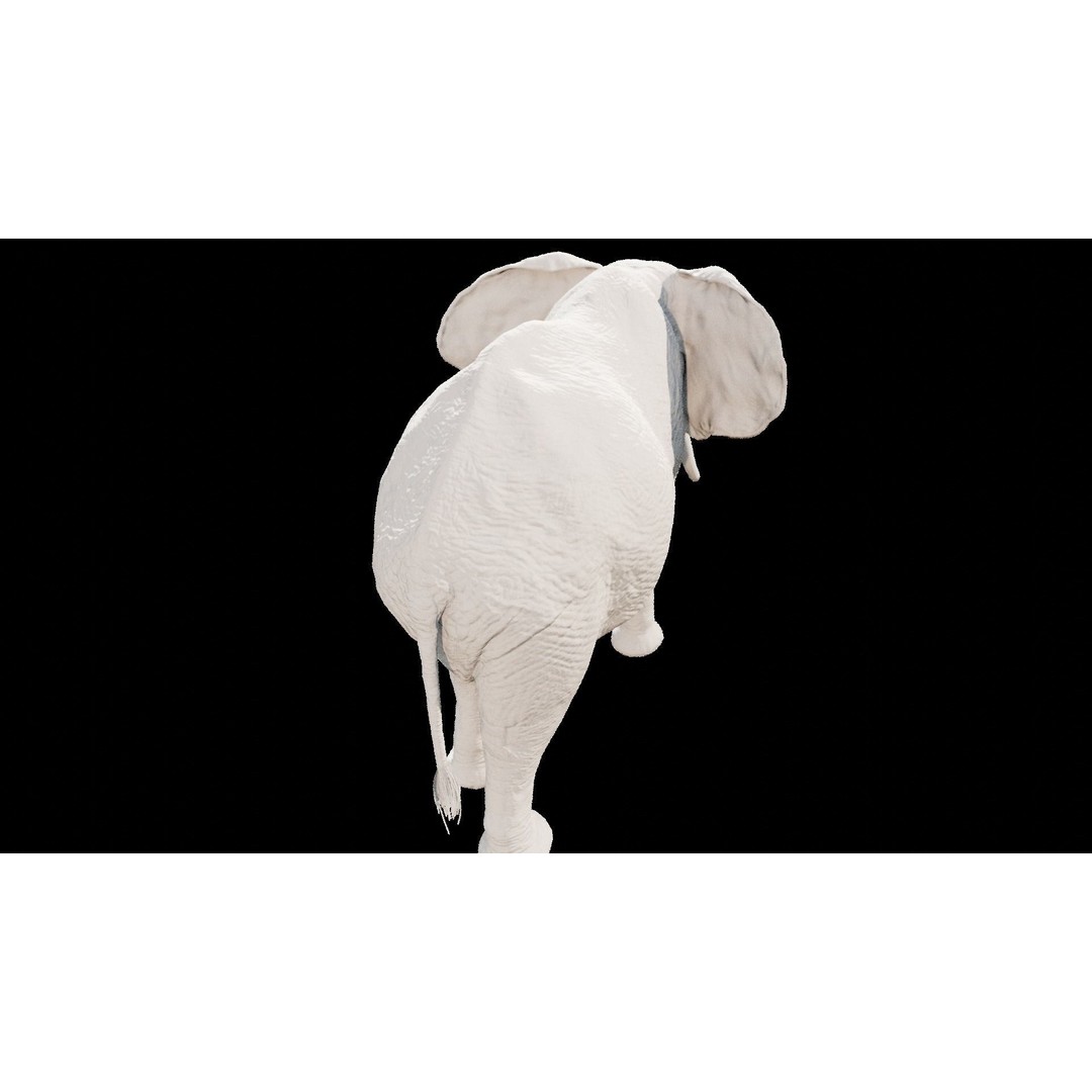 African Elephant 3D Model – Low Poly Rigged Asset, FBX, PBR - View 33