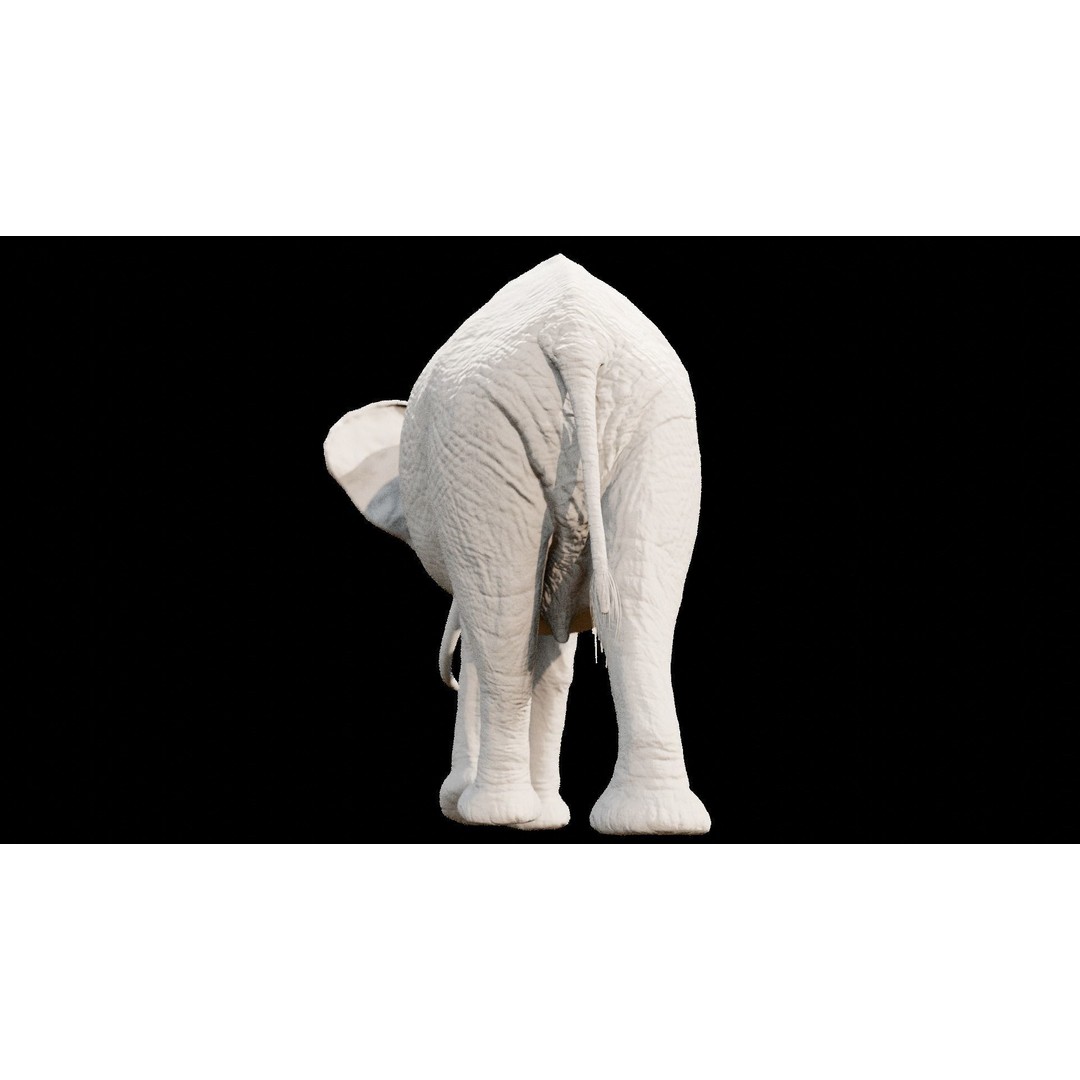 African Elephant 3D Model – Low Poly Rigged Asset, FBX, PBR - View 34