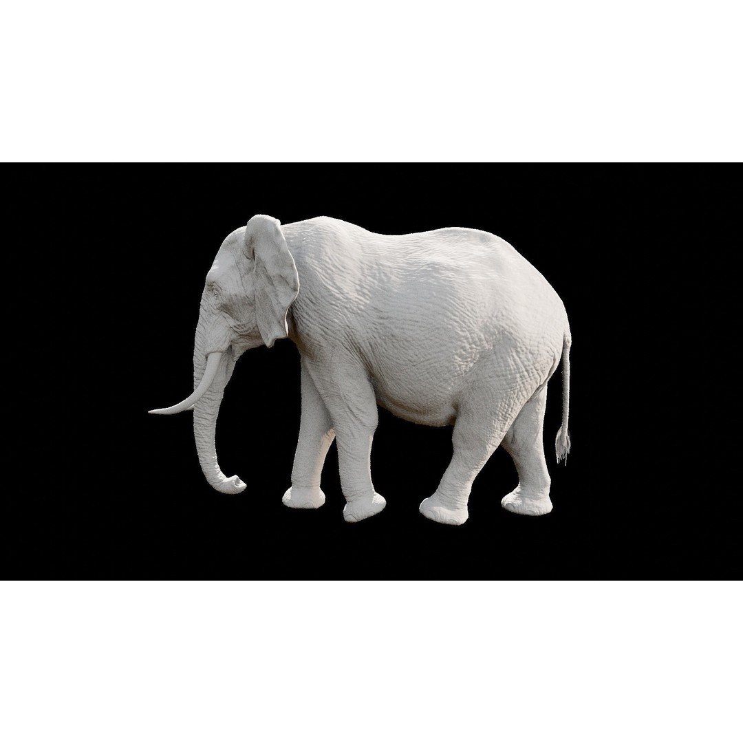 African Elephant 3D Model – Low Poly Rigged Asset, FBX, PBR - View 35