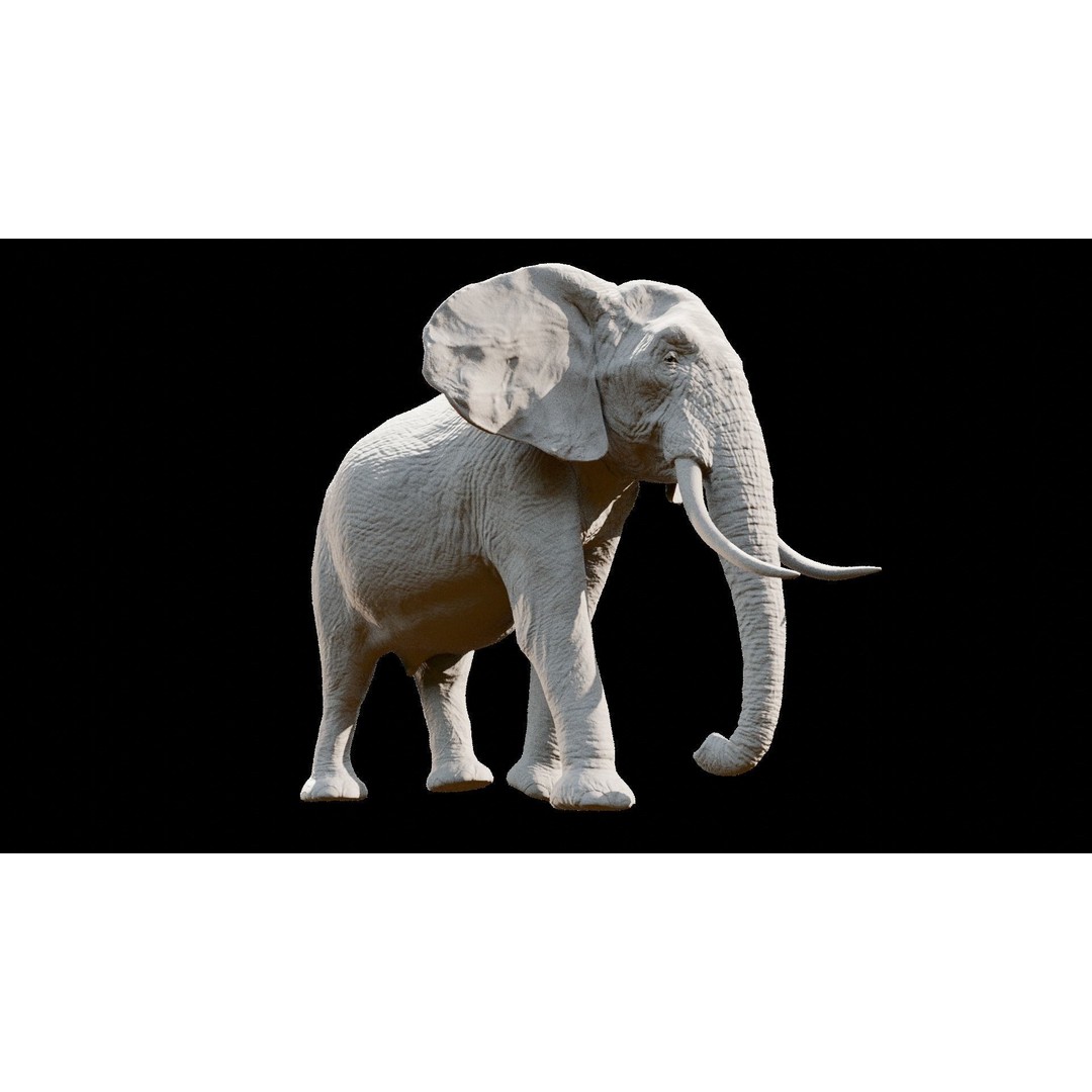African Elephant 3D Model – Low Poly Rigged Asset, FBX, PBR - View 36