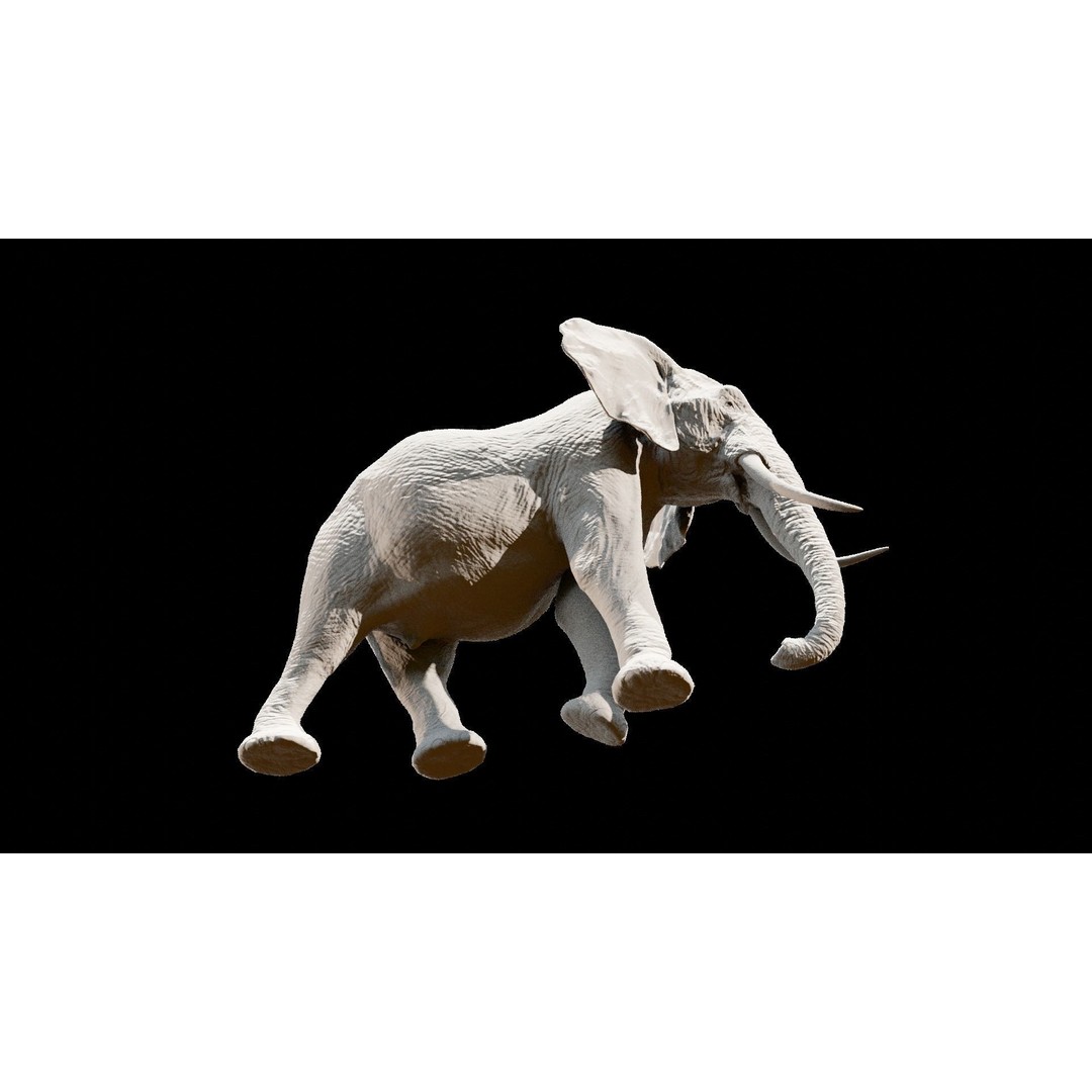 African Elephant 3D Model – Low Poly Rigged Asset, FBX, PBR - View 37