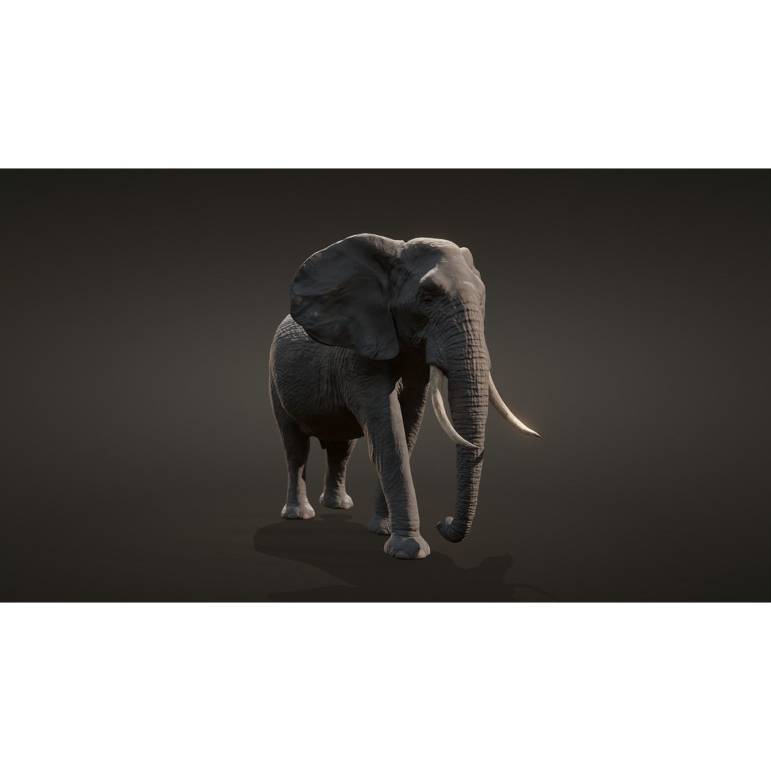 African Elephant 3D Model – Low Poly Rigged Asset, FBX, PBR - View 4