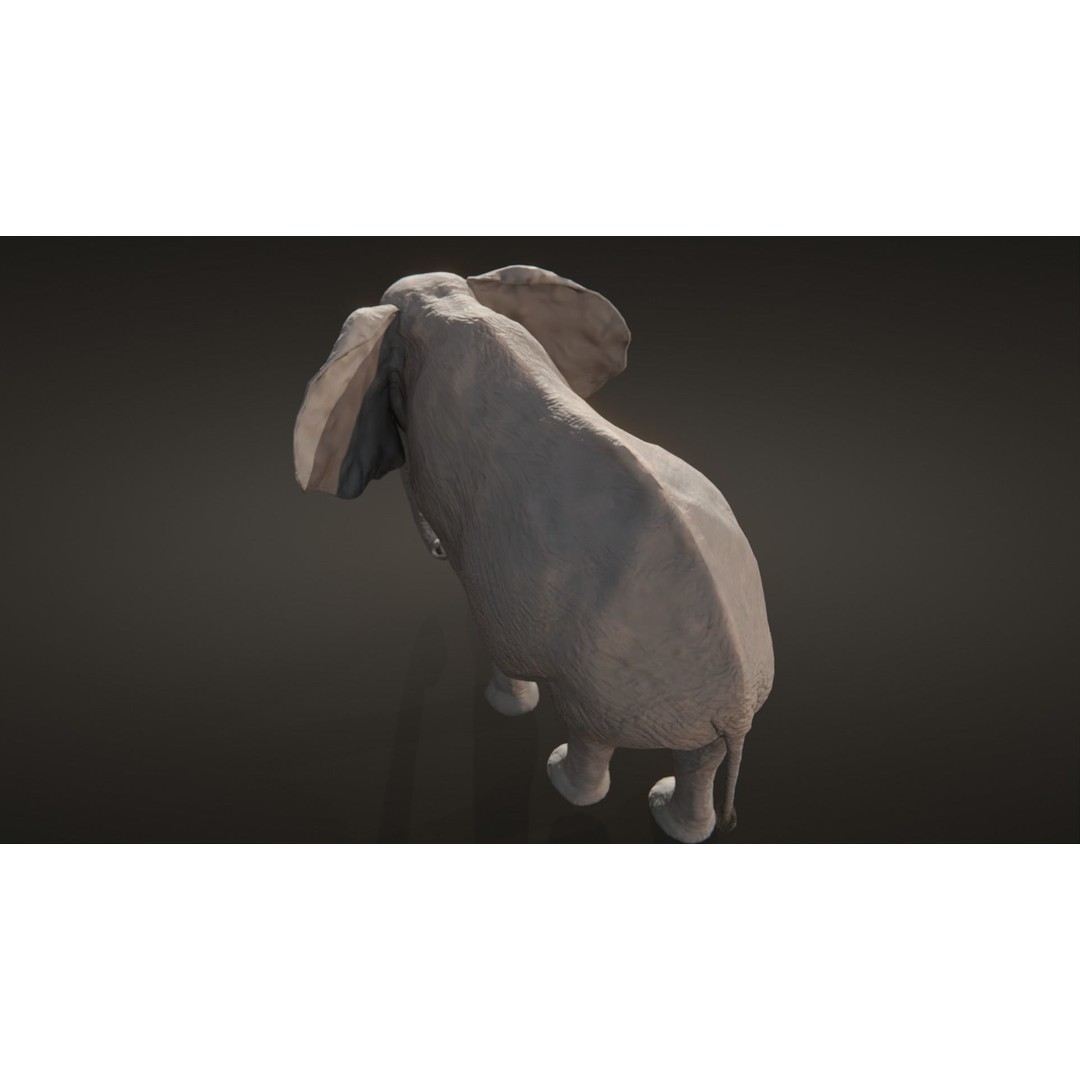 African Elephant 3D Model – Low Poly Rigged Asset, FBX, PBR - View 7