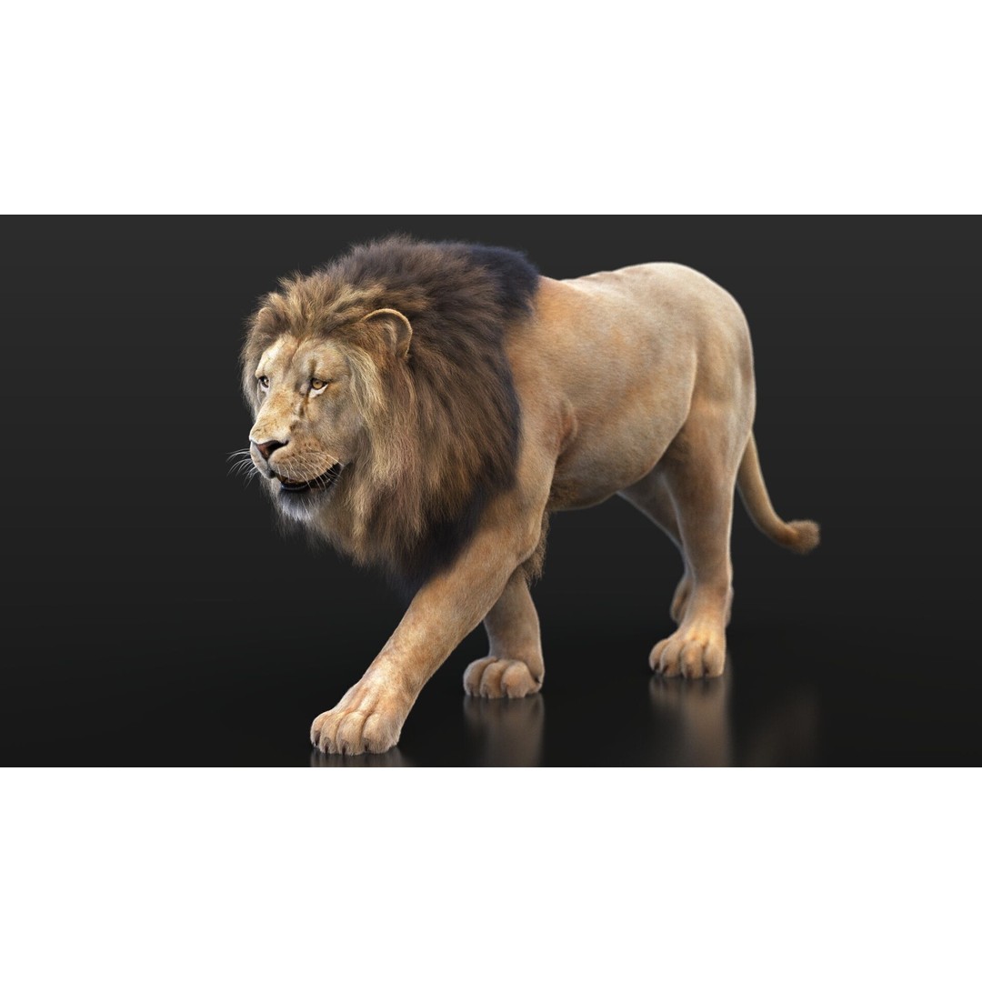 Lion 3D Model – High Detailed Rigged Character with XGEN Core - View 10