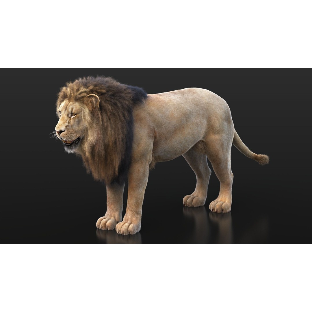 Lion 3D Model – High Detailed Rigged Character with XGEN Core - View 11