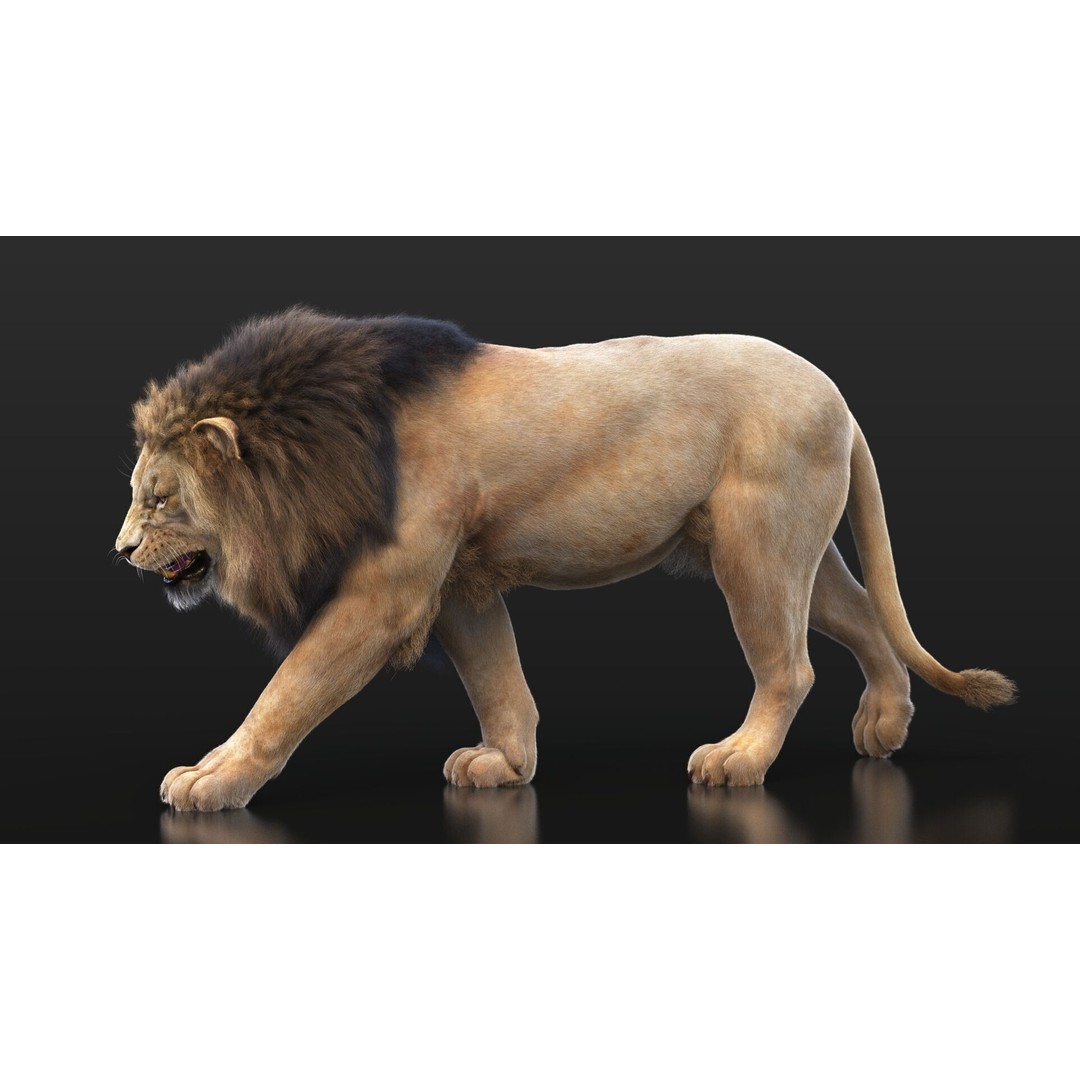 Lion 3D Model – High Detailed Rigged Character with XGEN Core - View 12