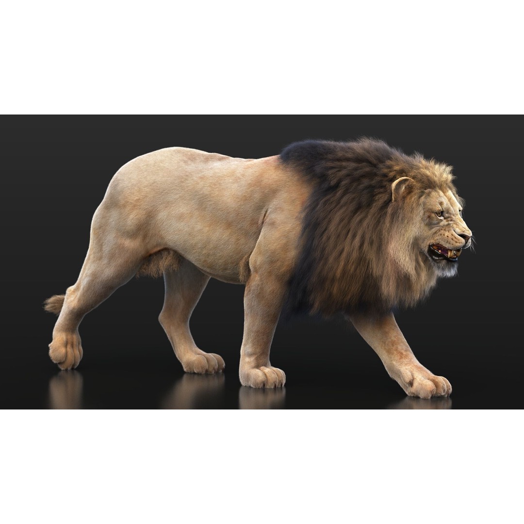 Lion 3D Model – High Detailed Rigged Character with XGEN Core - View 13